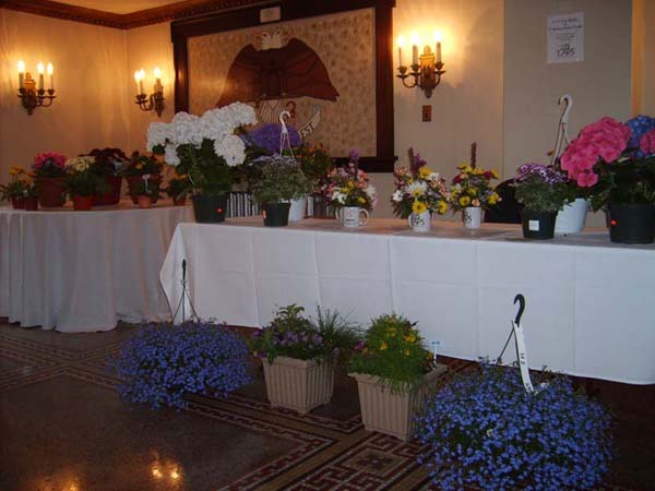 Wonderful ideas for Mother's Day gifts - flower arrangements
